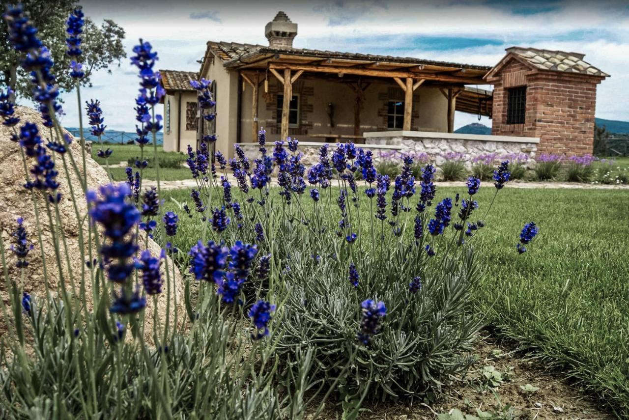 Casa Terzerie