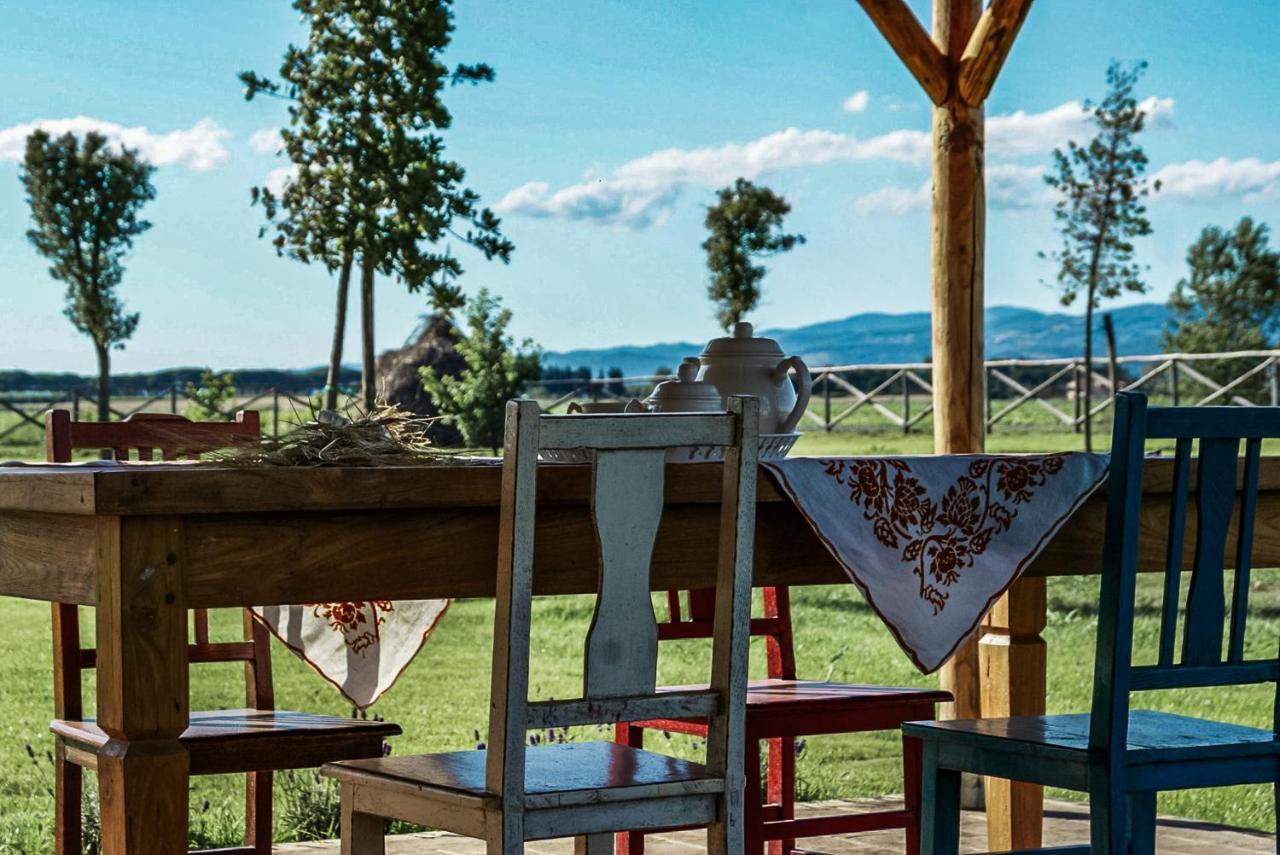 Casa Terzerie Bed & Breakfast